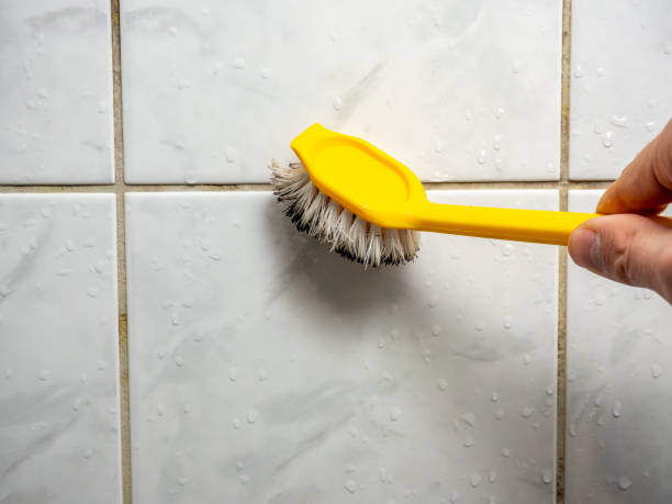Best Certified Mold Removal  in North Kansas City, MO